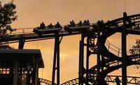 roller coaster