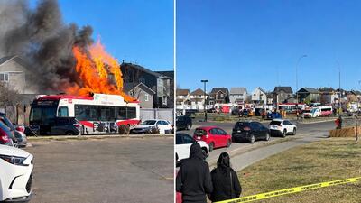 wypadek autobusów w Calgary