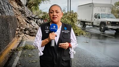 reporteka w Meksyku