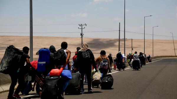 nielegalni imigranci