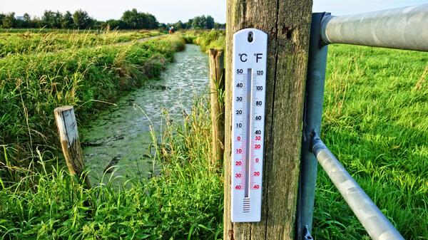 ochłodzenie klimatu