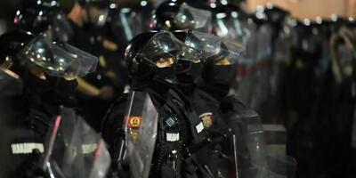 policja serbska