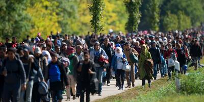 imigranci/zdjęcie poglądowe