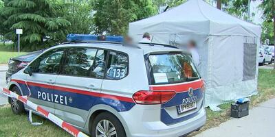 policja austriacka