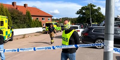 policja szwedzka