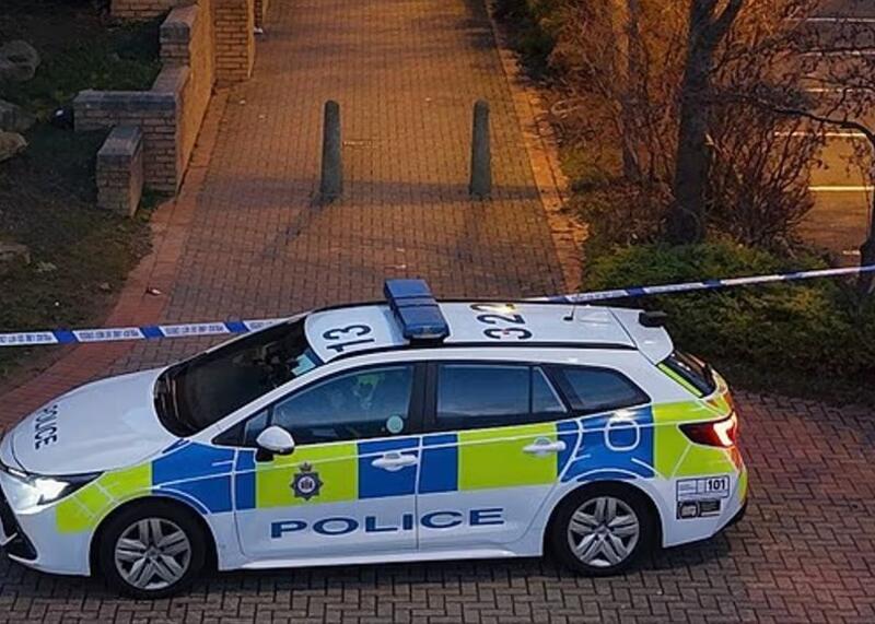 policja angielska