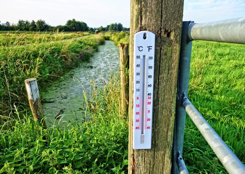ochłodzenie klimatu
